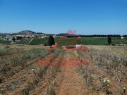 Terreno Urbano - Freiria, Torres Vedras, Lisboa - Miniatura: 6/9