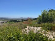 Terreno Rstico - Carvoeira TVD, Torres Vedras, Lisboa - Miniatura: 3/9