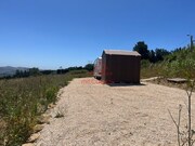 Terreno Rstico - Carvoeira TVD, Torres Vedras, Lisboa - Miniatura: 5/9