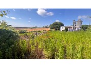 Terreno Rstico - A.  dos Cunhados, Torres Vedras, Lisboa - Miniatura: 1/9