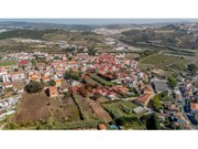Terreno Rstico - Santa Maria, Torres Vedras, Lisboa - Miniatura: 3/9
