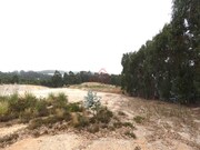 Terreno Industrial - Santa Maria, Torres Vedras, Lisboa - Miniatura: 4/9