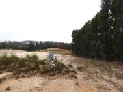 Terreno Industrial - Santa Maria, Torres Vedras, Lisboa - Miniatura: 5/9