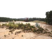 Terreno Industrial - Santa Maria, Torres Vedras, Lisboa - Miniatura: 6/9