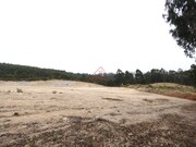 Terreno Industrial - Santa Maria, Torres Vedras, Lisboa - Miniatura: 8/9