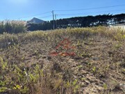 Terreno R�stico - Encarna��o, Mafra, Lisboa - Miniatura: 2/9