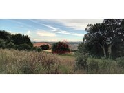 Terreno R�stico - Carvoeira TVD, Torres Vedras, Lisboa - Miniatura: 2/9