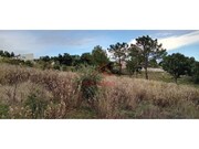 Terreno R�stico - Carvoeira TVD, Torres Vedras, Lisboa - Miniatura: 4/9