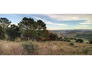 Terreno R�stico - Carvoeira TVD, Torres Vedras, Lisboa - Miniatura: 5/9