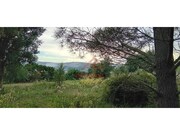 Terreno R�stico - Carvoeira TVD, Torres Vedras, Lisboa - Miniatura: 7/9