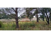 Terreno R�stico - Carvoeira TVD, Torres Vedras, Lisboa - Miniatura: 8/9