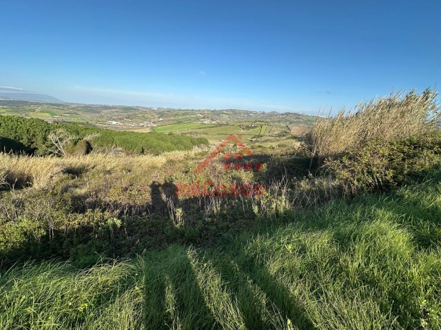 Terreno R�stico - Dois Portos, Torres Vedras, Lisboa - Imagem grande