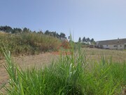 Terreno R�stico - A.  dos Cunhados, Torres Vedras, Lisboa - Miniatura: 5/8