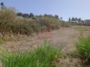 Terreno R�stico - A.  dos Cunhados, Torres Vedras, Lisboa - Miniatura: 7/8