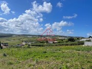 Terreno Rstico - A.  dos Cunhados, Torres Vedras, Lisboa - Miniatura: 5/5