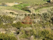 Terreno R�stico - Dois Portos, Torres Vedras, Lisboa - Miniatura: 3/6