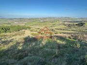 Terreno R�stico - Dois Portos, Torres Vedras, Lisboa - Miniatura: 4/6