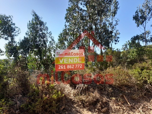 Terreno R�stico - Venda do Pinheiro, Mafra, Lisboa - Imagem grande