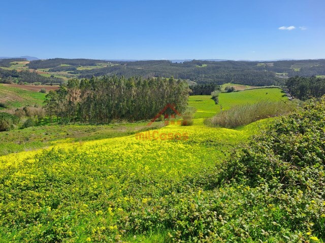Terreno R�stico - Lourinh�, Lourinh�, Lisboa - Imagem grande