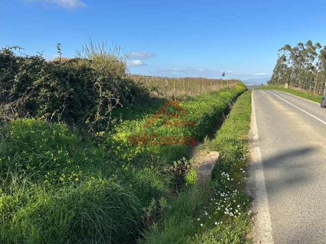 Terreno R�stico - Santa Maria, Torres Vedras, Lisboa - Imagem grande
