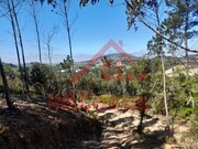 Terreno R�stico - Venda do Pinheiro, Mafra, Lisboa - Miniatura: 2/7