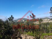 Terreno R�stico - Venda do Pinheiro, Mafra, Lisboa - Miniatura: 3/7