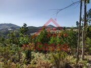 Terreno R�stico - Venda do Pinheiro, Mafra, Lisboa - Miniatura: 4/7