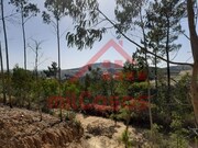 Terreno R�stico - Venda do Pinheiro, Mafra, Lisboa - Miniatura: 5/7