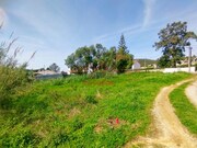 Terreno Rstico - Santa Maria, Torres Vedras, Lisboa - Miniatura: 8/9