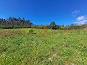 Terreno R�stico - Lourinh�, Lourinh�, Lisboa - Miniatura: 1/9