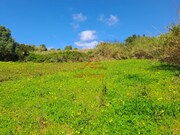 Terreno R�stico - Lourinh�, Lourinh�, Lisboa - Miniatura: 2/9