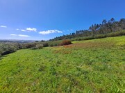 Terreno R�stico - Lourinh�, Lourinh�, Lisboa - Miniatura: 6/9