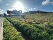 Terreno R�stico - Santa Maria, Torres Vedras, Lisboa - Miniatura: 5/5