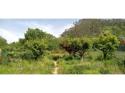 Moradia T4 - Vila Verde dos Francos, Alenquer, Lisboa - Miniatura: 8/9