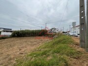 Terreno R�stico - Santo Isidoro MFR, Mafra, Lisboa - Miniatura: 7/9