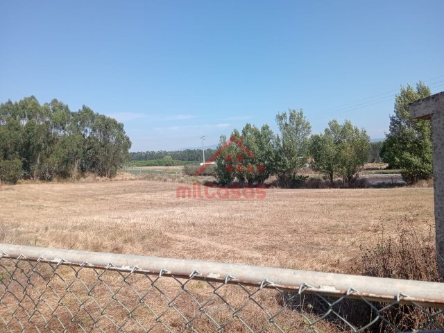 Terreno Industrial - Campelos, Torres Vedras, Lisboa - Imagem grande