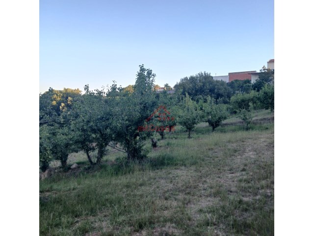 Terreno Urbano - Carvalhal, Bombarral, Leiria - Imagem grande