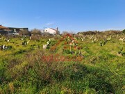 Terreno Urbano - Freiria, Torres Vedras, Lisboa - Miniatura: 1/9