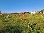 Terreno Urbano - Freiria, Torres Vedras, Lisboa - Miniatura: 4/9