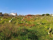 Terreno Urbano - Freiria, Torres Vedras, Lisboa - Miniatura: 5/9