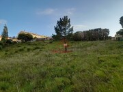 Terreno R�stico - Carvoeira, Mafra, Lisboa - Miniatura: 2/9