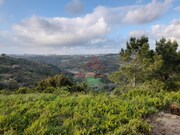 Terreno R�stico - Carvoeira, Mafra, Lisboa - Miniatura: 6/9