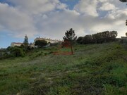 Terreno R�stico - Carvoeira, Mafra, Lisboa - Miniatura: 8/9
