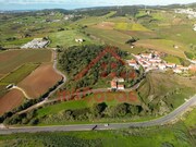 Quinta T3 - Carvoeira TVD, Torres Vedras, Lisboa - Miniatura: 1/9