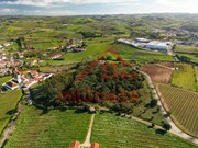 Quinta T3 - Carvoeira TVD, Torres Vedras, Lisboa - Miniatura: 6/9