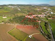 Quinta T3 - Carvoeira TVD, Torres Vedras, Lisboa - Miniatura: 9/9