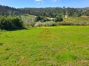 Terreno R�stico - Vimeiro, Lourinh�, Lisboa - Miniatura: 2/9