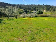 Terreno R�stico - Vimeiro, Lourinh�, Lisboa - Miniatura: 3/9