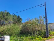 Terreno R�stico - Vimeiro, Lourinh�, Lisboa - Miniatura: 4/9