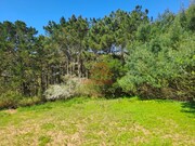 Terreno R�stico - Vimeiro, Lourinh�, Lisboa - Miniatura: 7/9
